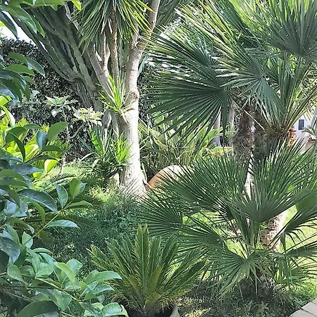 Willa The Queen's House *