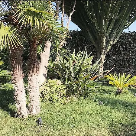 The Queen's House Willa